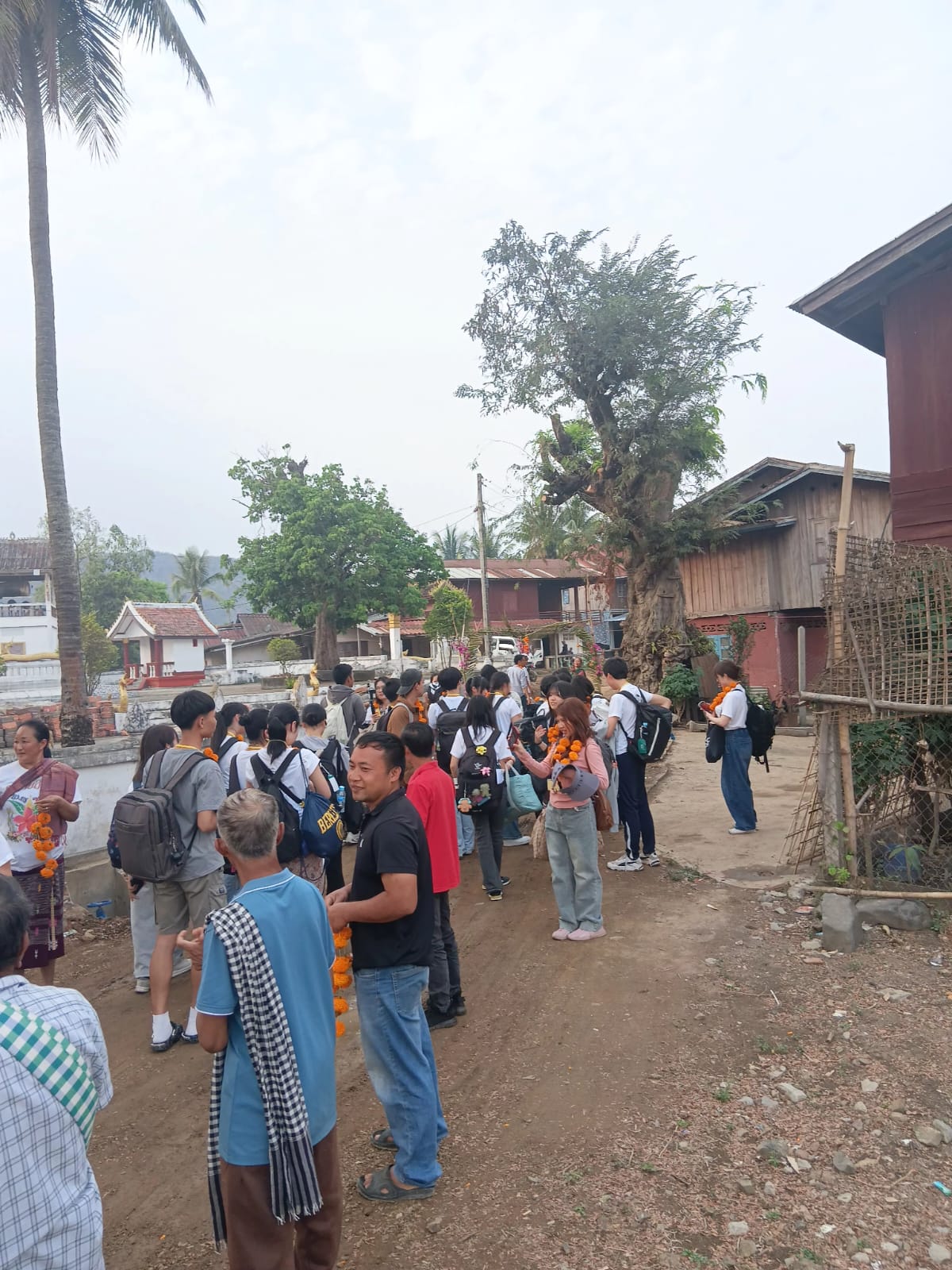 Luang Prabang Cultural Exchange & Homestay Program — photo 2